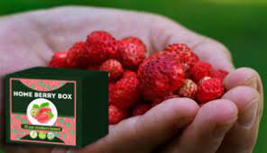 Home Berry Box - como tomar - como aplicar - como usar - funciona 