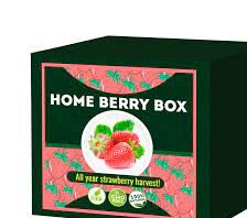 Home Berry Box - onde comprar - no farmacia - no Celeiro - em Infarmed - no site do fabricante