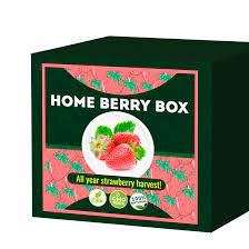 Home Berry Box - onde comprar - no farmacia - no Celeiro - em Infarmed - no site do fabricante